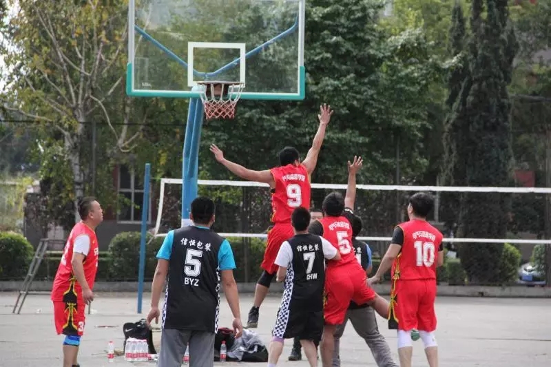 1537856571812017009.jpg 7.webp.jpg