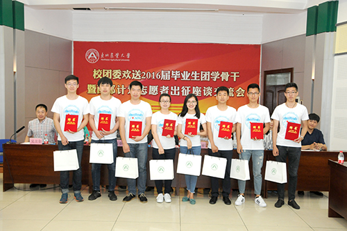 1466495474642045546.jpg 7.jpg