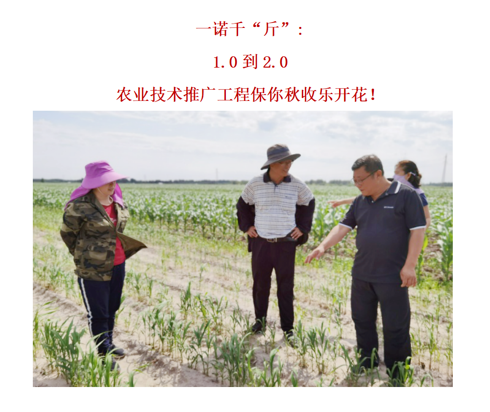 1654762734906027413.png 3.png