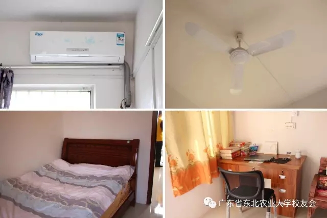 1493971838530015962.jpg 3.webp.jpg