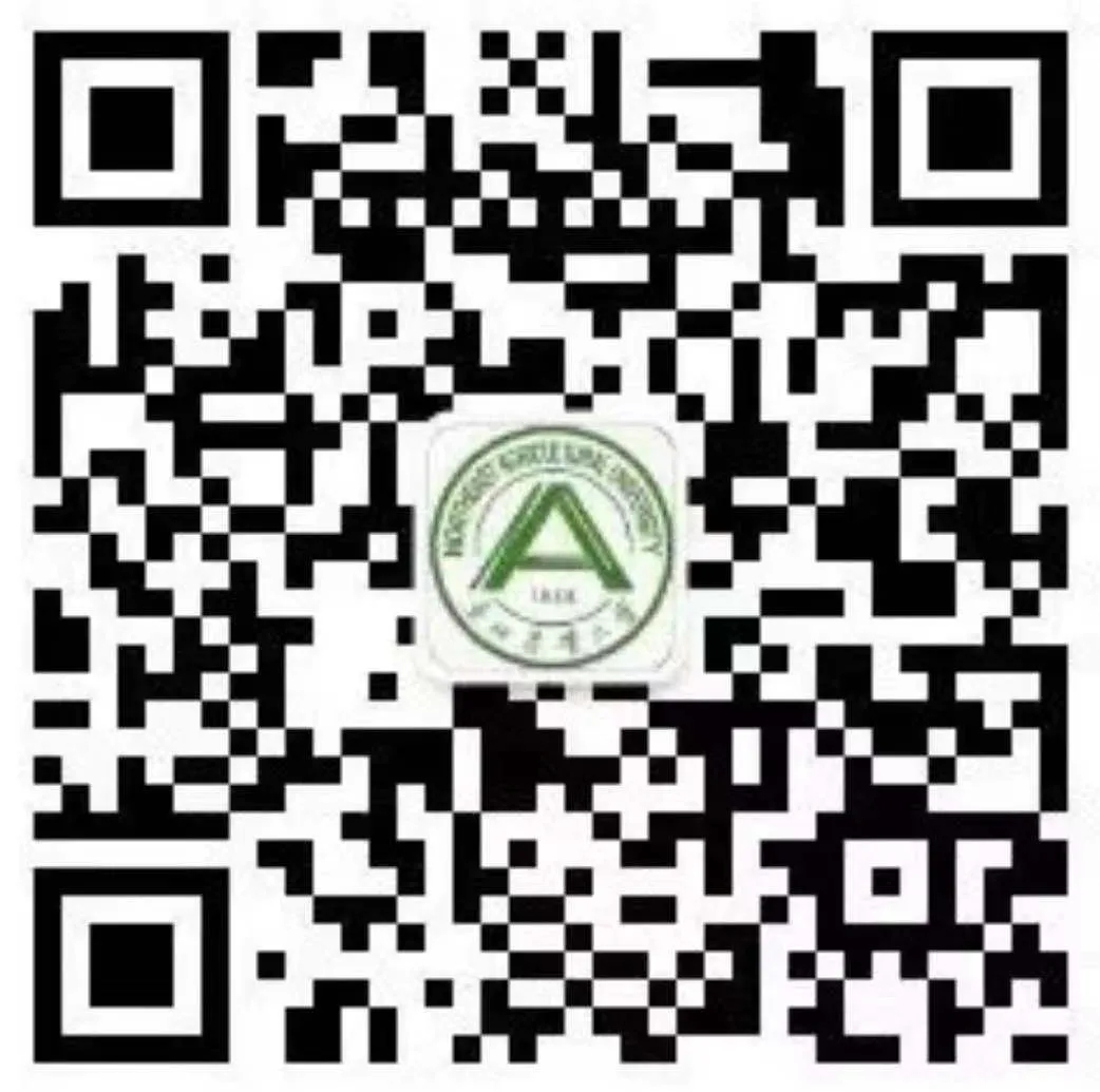 1631156404921034491.jpg 1.webp.jpg