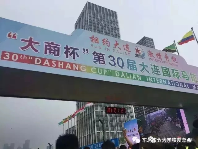 1496215622108082535.jpg 1.webp.jpg