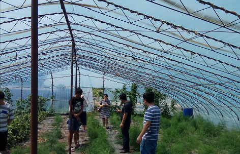 1534399878189023315.png 图片1.png