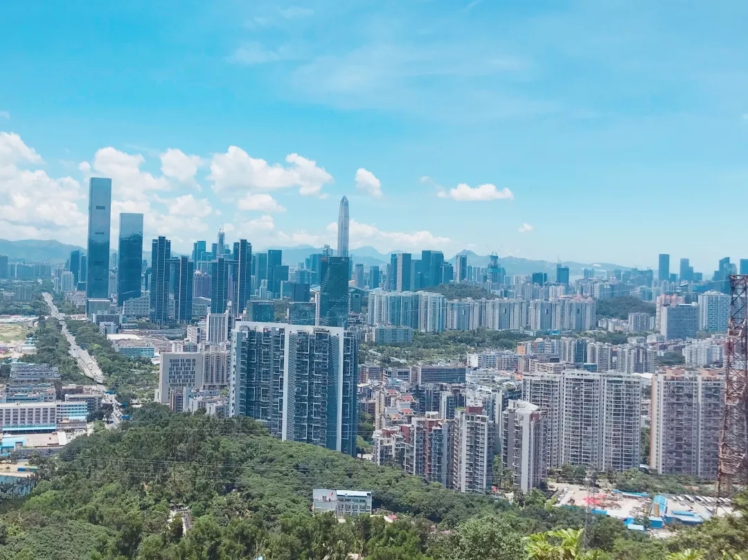 1560218874981030194.jpg 1.webp.jpg