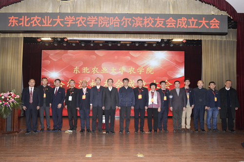 1481598313190082381.jpg 12.jpg