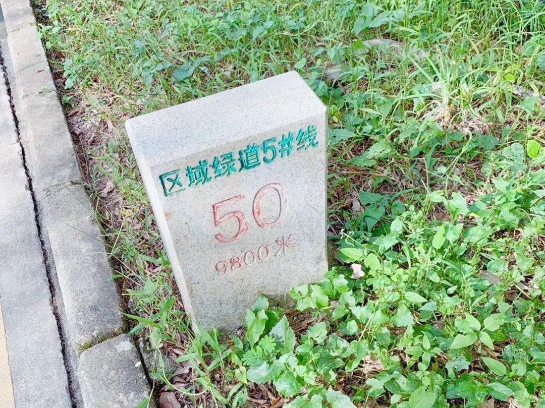 1560218936008021151.jpg 3.webp.jpg