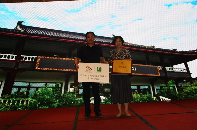 1603292079426068394.png 青岛10.png