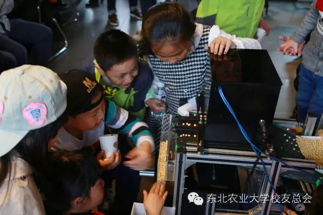 1461827740342058798.jpg 212121.webp.jpg