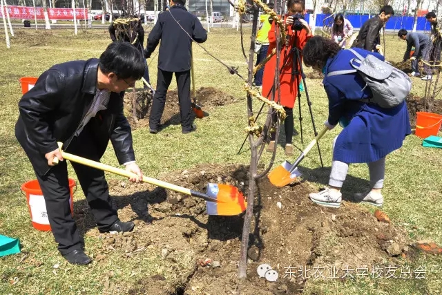 1461827651749052327.jpg 999.webp.jpg