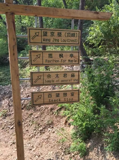 1464748545121093844.jpg 6.webp.jpg