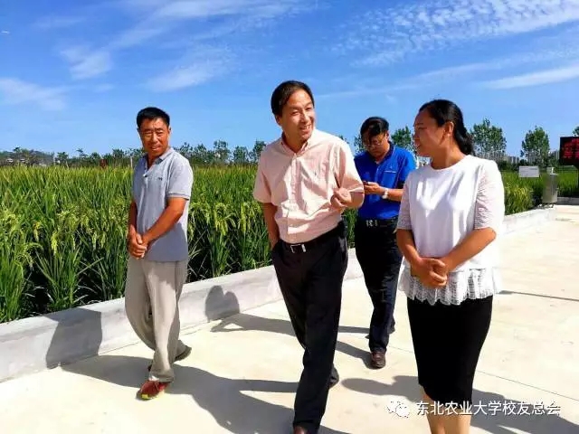 1504771814535093437.jpg 1.webp.jpg