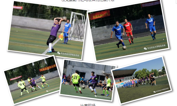 1504859410733054181.png 8.png