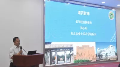 1562565811040007114.jpg 6.webp.jpg