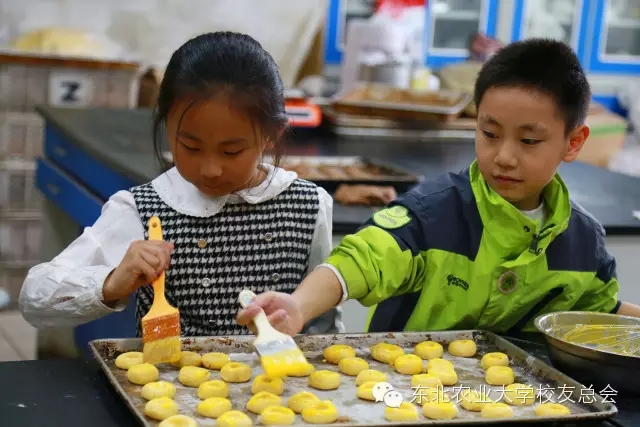 1461827780949034980.jpg 26-26-26.webp.jpg