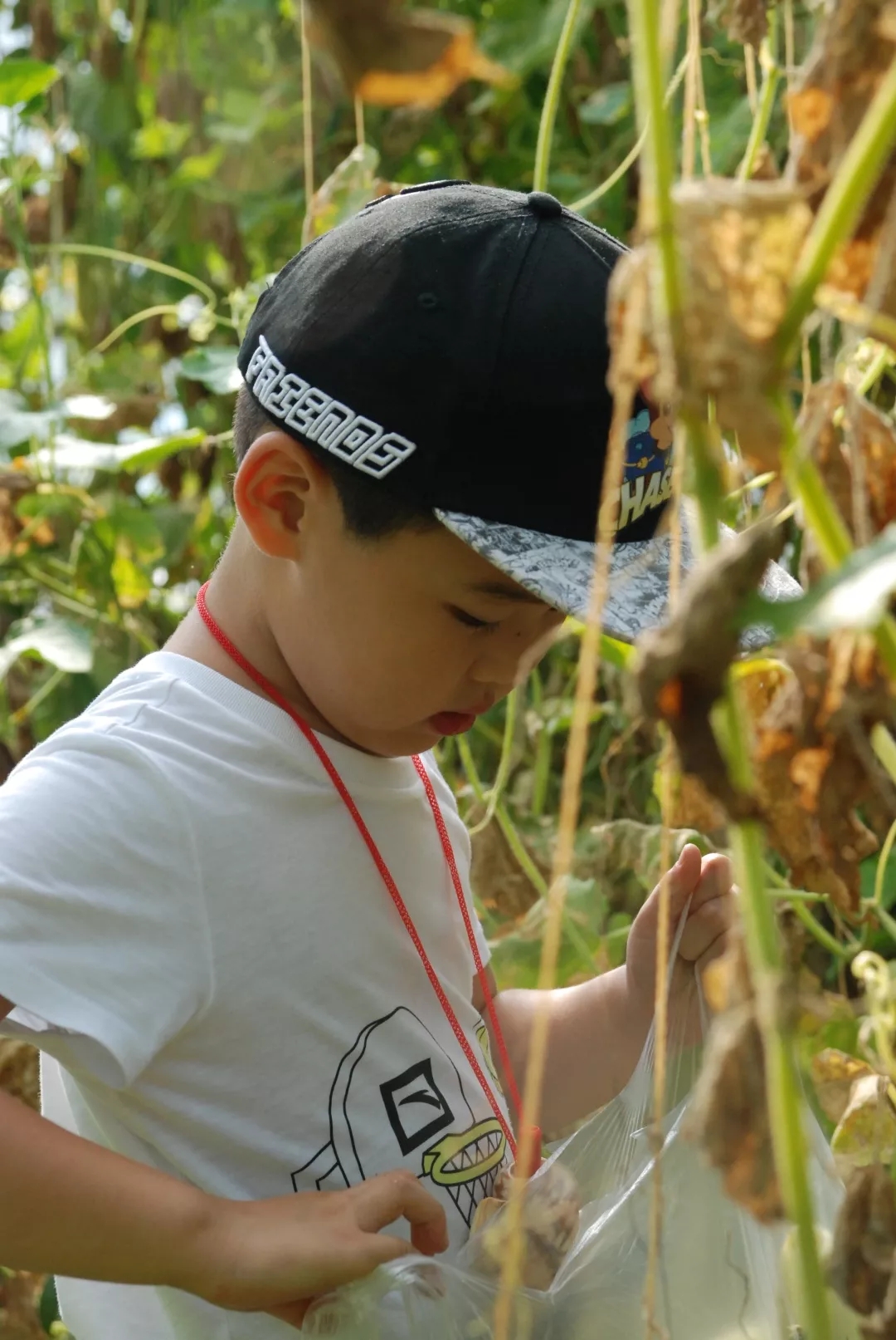 1567044913310062488.jpg 8.webp.jpg